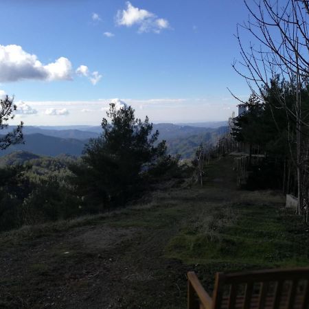 Heaven Of Prodromos Bed & Breakfast Exterior foto
